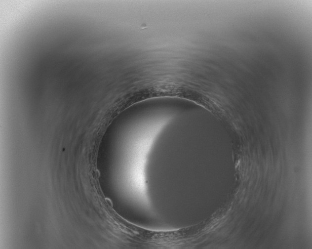 X0000064740817200602131313