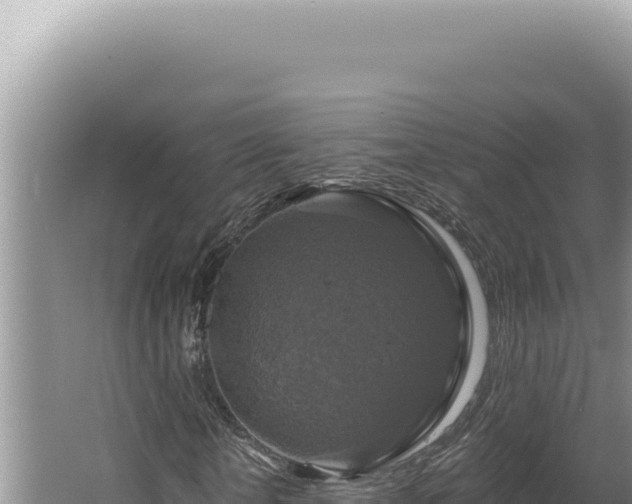 X0000064740818200602131314