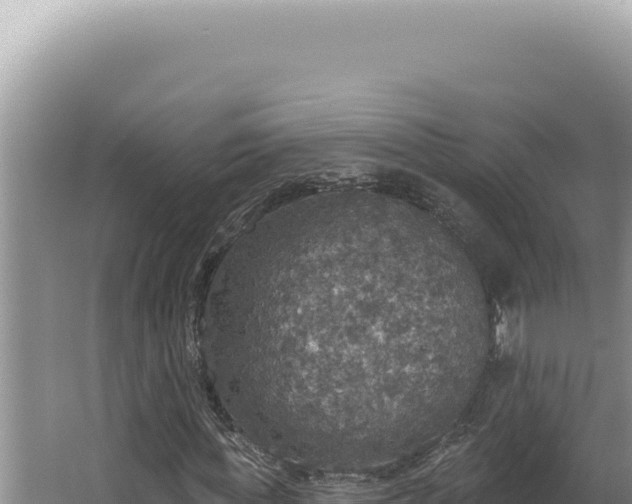 X0000064740819200602131314