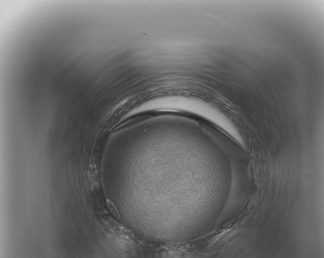 X0000064740822200602131314