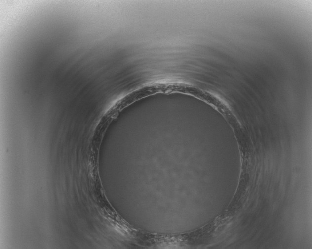 X0000064740823200602131314