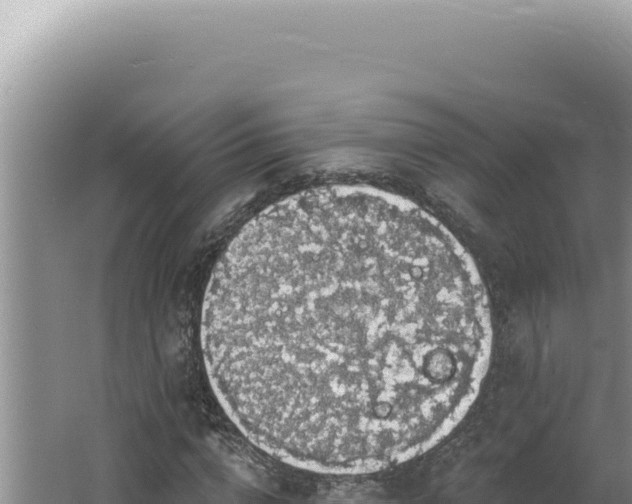 X0000064740824200602131314