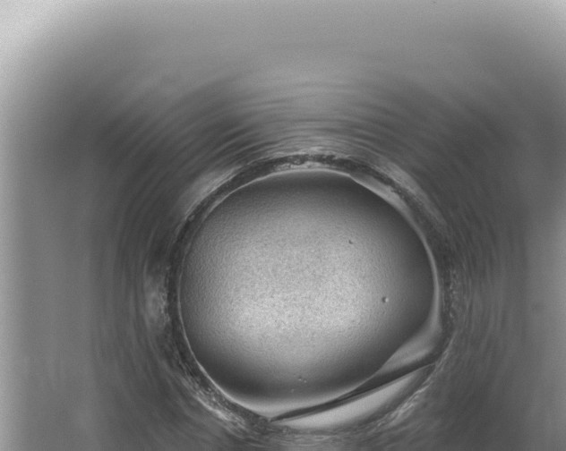 X0000064740826200602131314