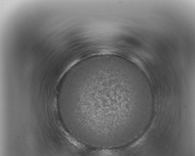 X0000064740827200602131314