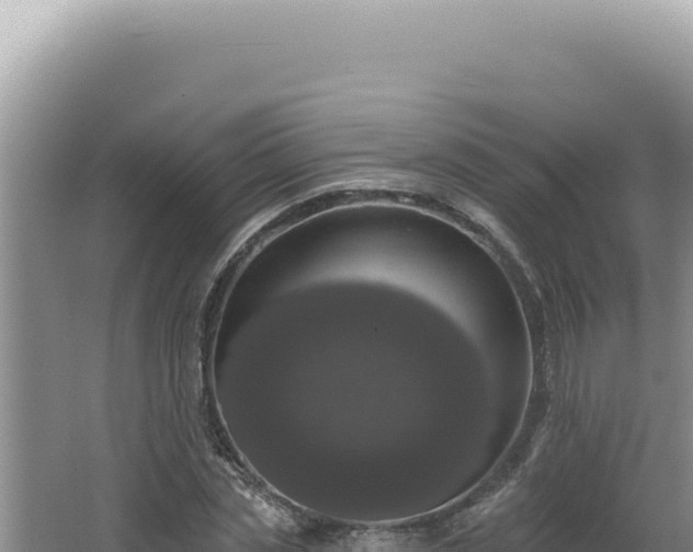 X0000064740829200602131314