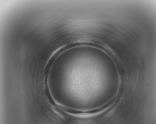 X0000064740830200602131314