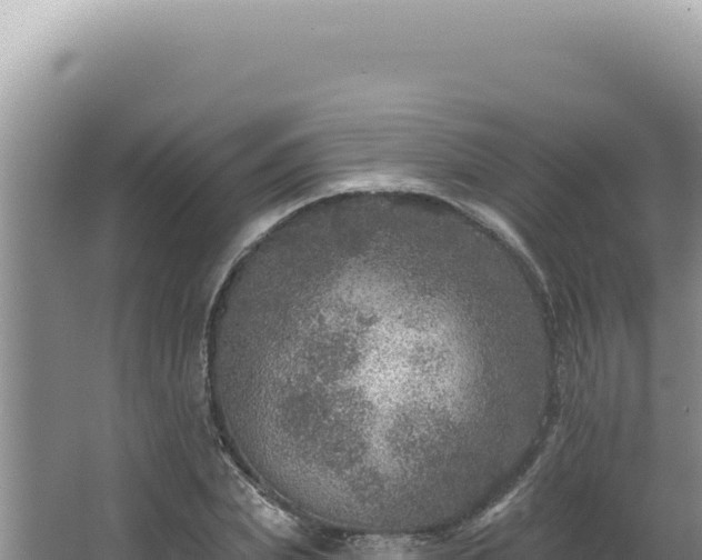 X0000064740831200602131314