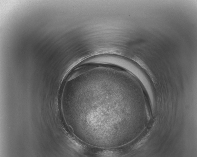 X0000064740834200602131314