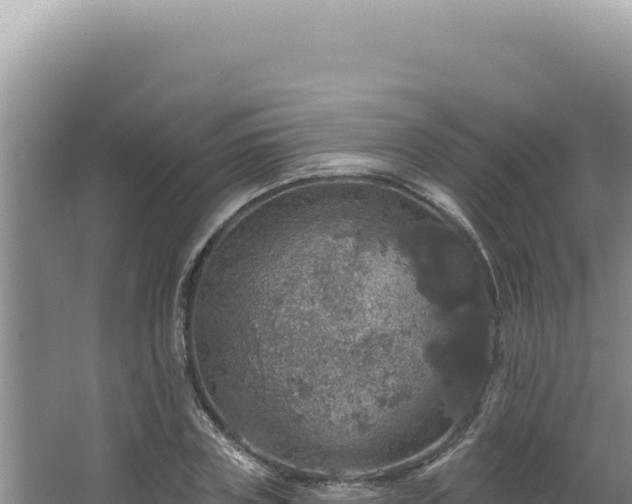 X0000064740835200602131314