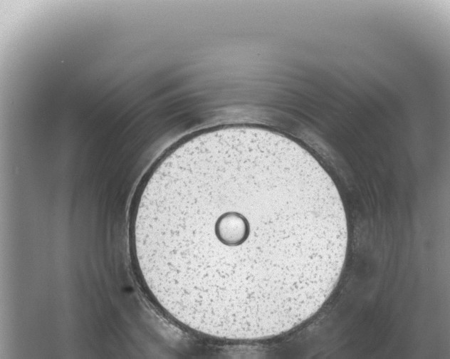 X0000064740836200602131314