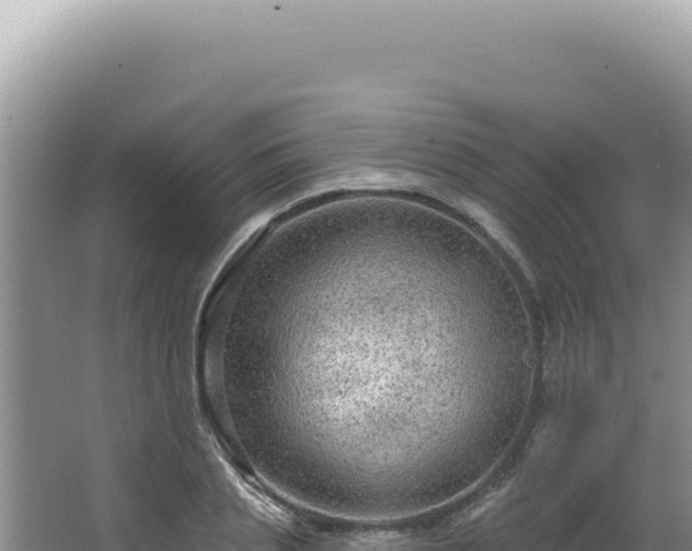 X0000064740837200602131314