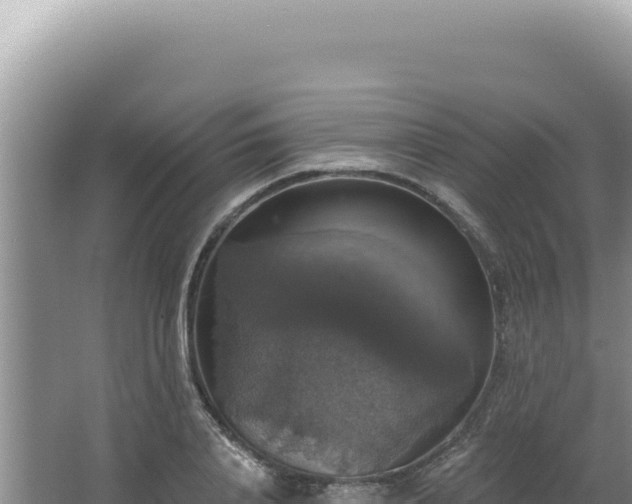 X0000064740840200602131314