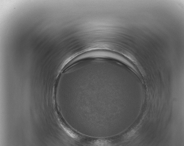 X0000064740842200602131314