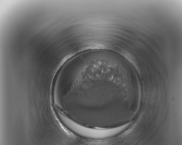 X0000064740845200602131314