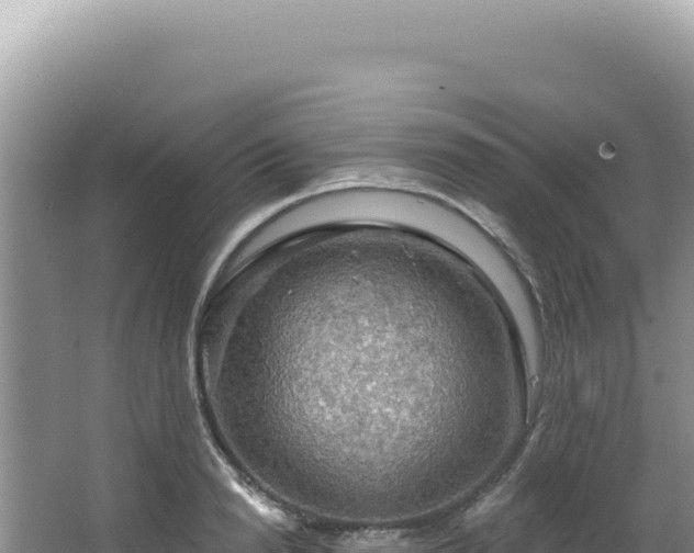 X0000064740846200602131314