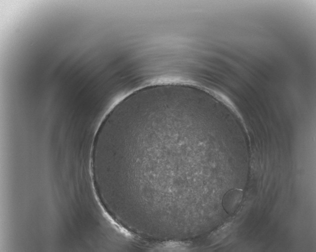 X0000064740847200602131314