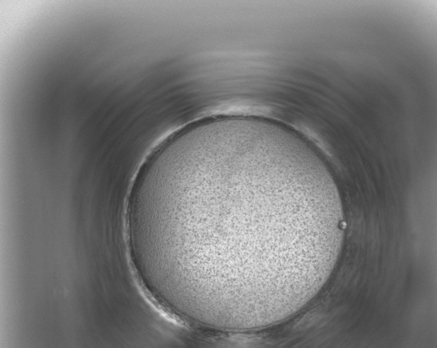 X0000064740848200602131314