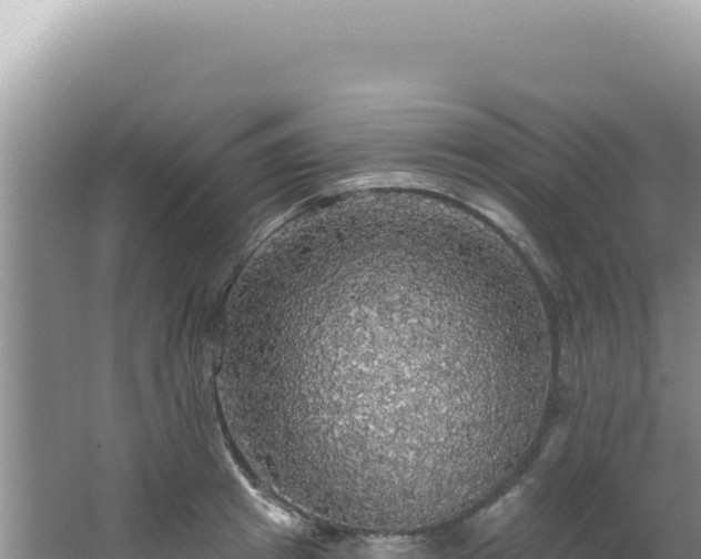 X0000064740849200602131314