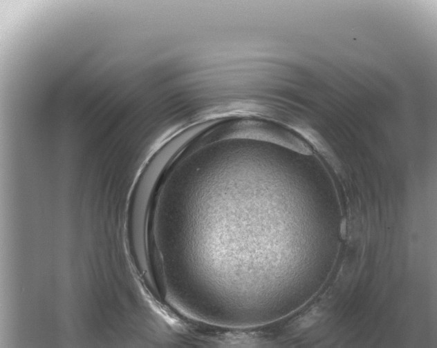 X0000064740850200602131314