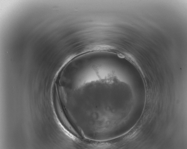 X0000064740851200602131314