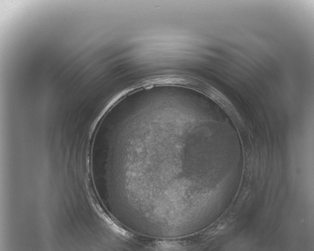 X0000064740852200602131314