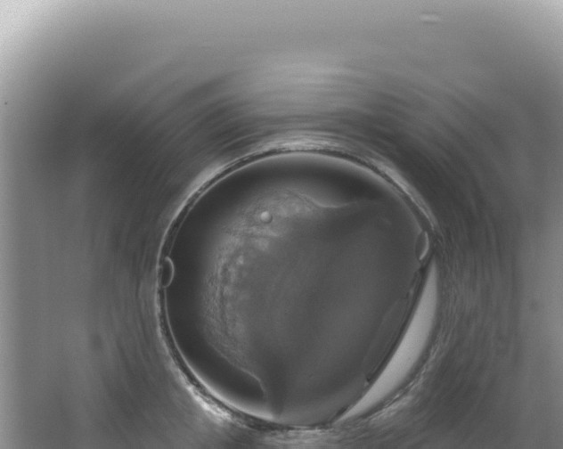 X0000064740853200602131314