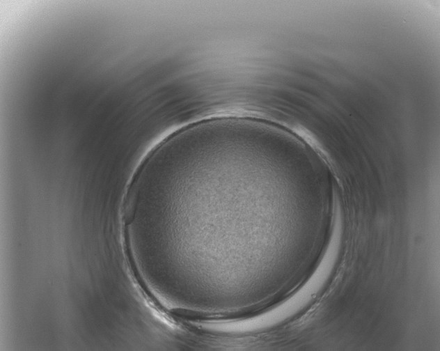 X0000064740854200602131314