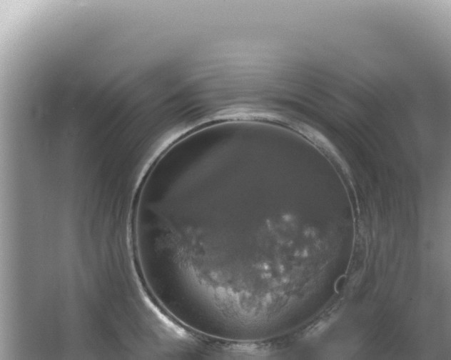 X0000064740855200602131314