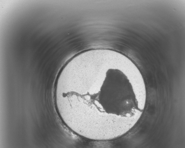 X0000064740856200602131314