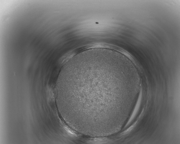 X0000064740857200602131314