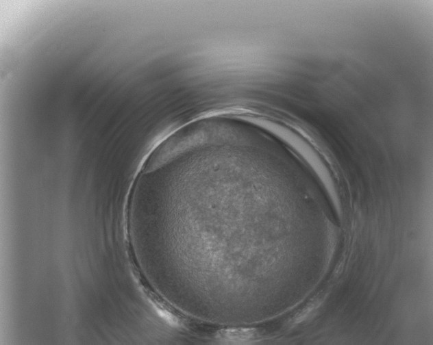 X0000064740858200602131314