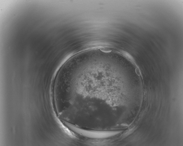 X0000064740859200602131314