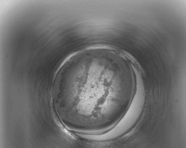 X0000064740860200602131314