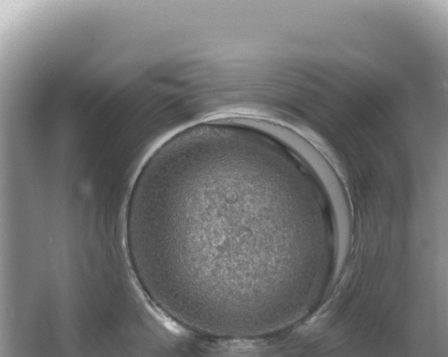 X0000064740862200602131314