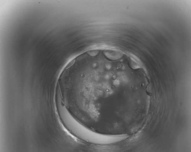 X0000064740863200602131314