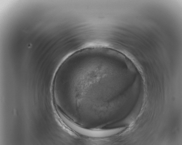 X0000064740864200602131314