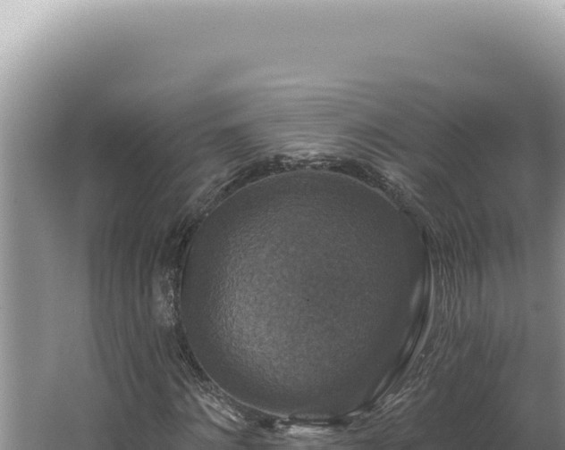 X0000064740868200602131313