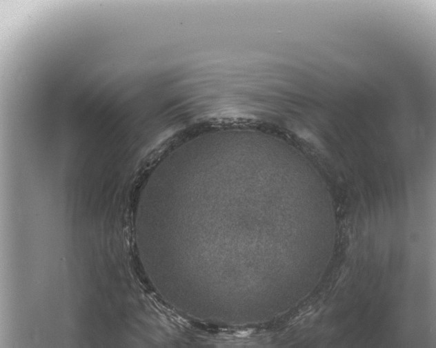 X0000064740870200602131313