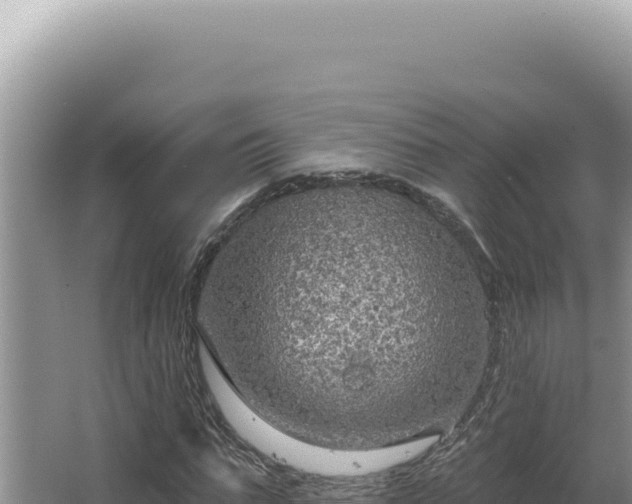 X0000064740871200602131313