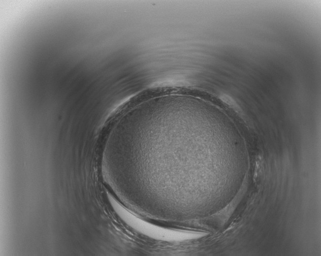 X0000064740872200602131313