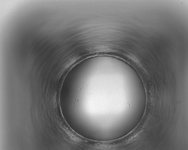 X0000064740873200602131313