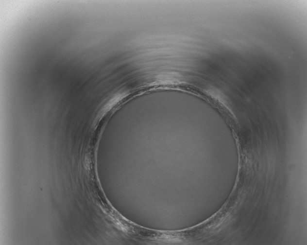 X0000064740874200602131313