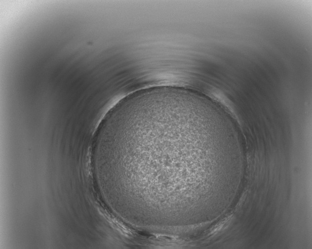 X0000064740875200602131313