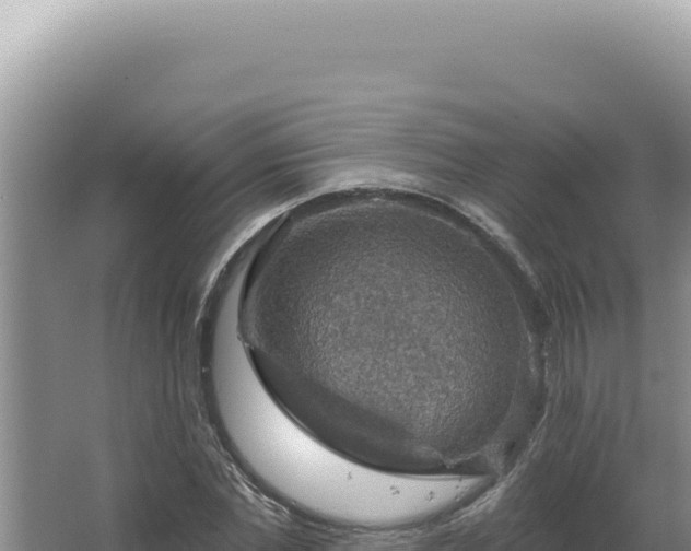 X0000064740877200602131313