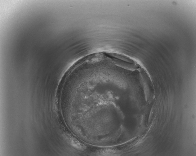 X0000064740879200602131313