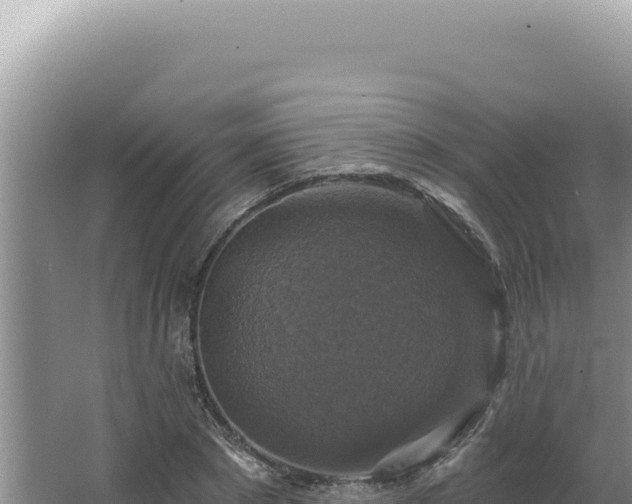 X0000064740881200602131313