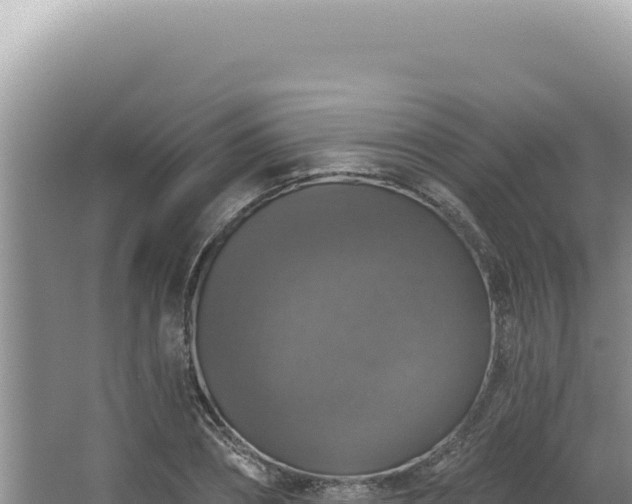 X0000064740882200602131313