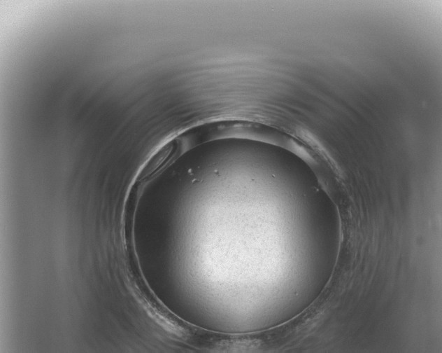 X0000064740884200602131313