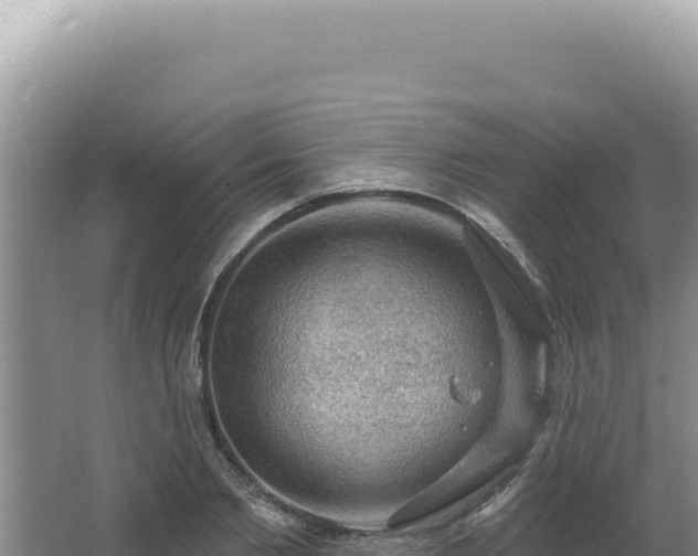 X0000064740885200602131313