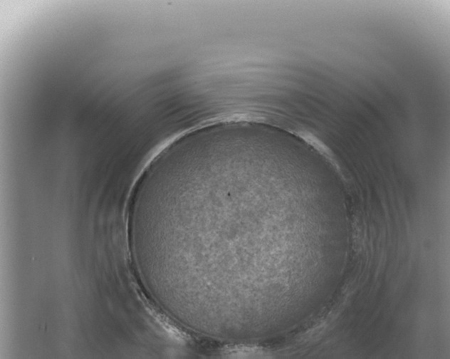 X0000064740886200602131313